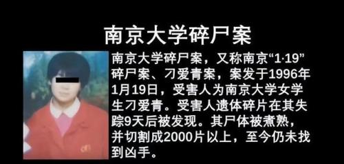南京碎尸案(刁爱青碎尸案真凶是谁)插图4