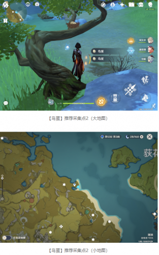 原神百货奇货第七天鸟蛋苹果及白萝卜采集地点一览(烤鸟蛋)插图2