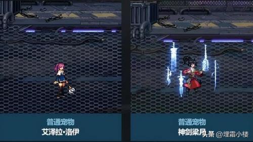 2022腰带鞋子附魔宝珠三攻(2023鞋子宝珠附魔推荐)插图5