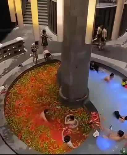 哈尔滨自拍馆排名前十(哈尔滨最好的回民馆)插图46