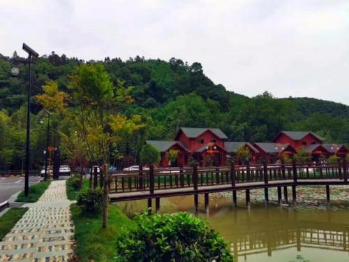 九江景点(九江49处免费景点)插图36