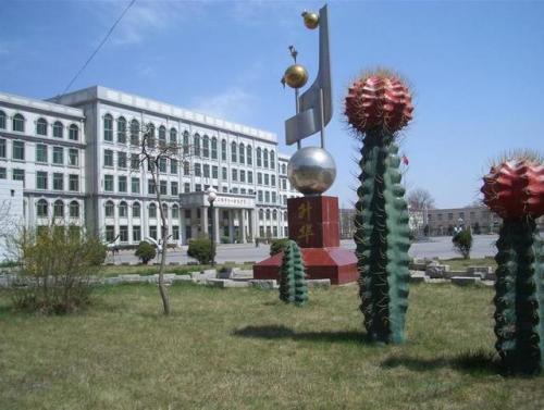 营口普高学校排名前十(营口卫生学校)插图41