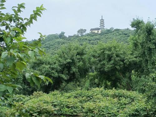 苏州石湖(苏州石湖杀妻案)插图30