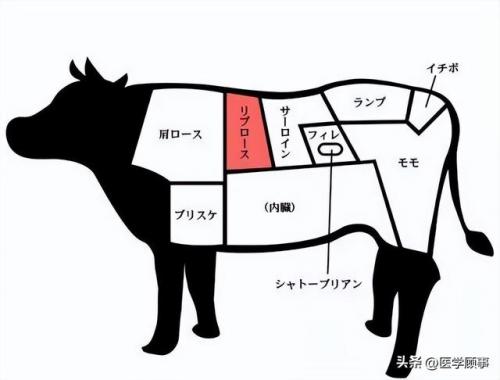 牛棚牛排品牌排名前十(调理牛排品牌排行榜)插图9