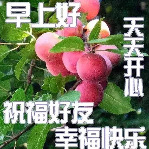 2020年图片大全好看(你好图片大全)插图4