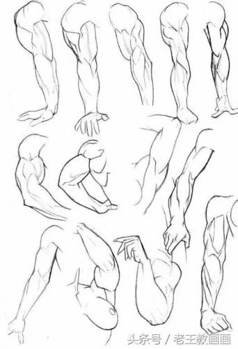 学画画零基础(附近的画画的地方培训班)插图23