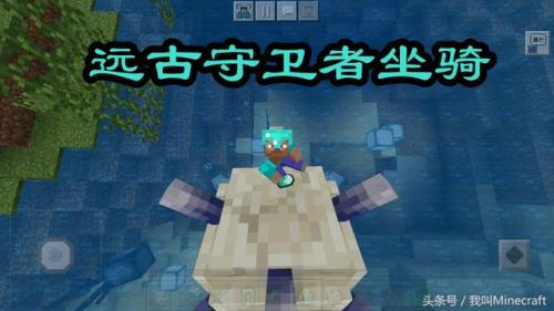 我的世界海豚(钻石傀儡vs循声守卫谁厉害)插图4