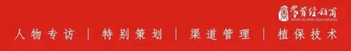 大型颜料厂家排名前十(颜料价格)插图