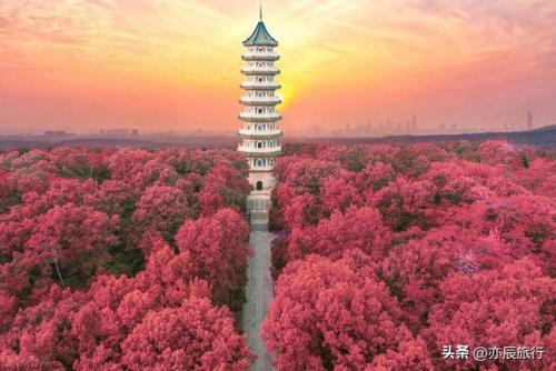 南京最佳观景台排名前十(南京观景桥在哪里)插图29