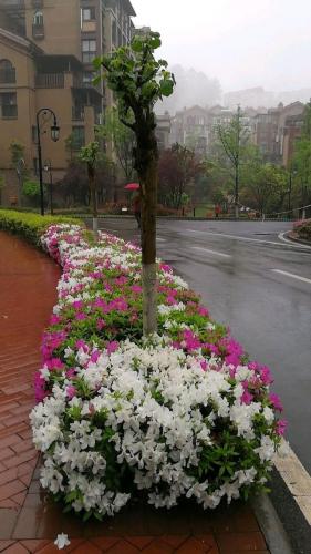 重庆凉快胜地排名前十(离重庆1小时的凉快地方)插图10