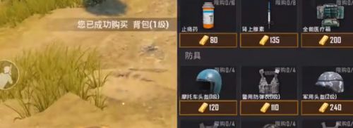 和平精英：只有两千金条(和平精英哪来的物资)插图1