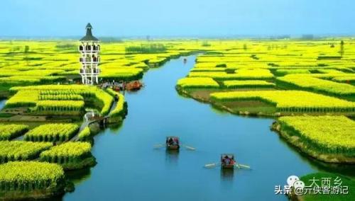 中国油菜之乡排名前十(全国油菜花开最早省市县乡)插图4