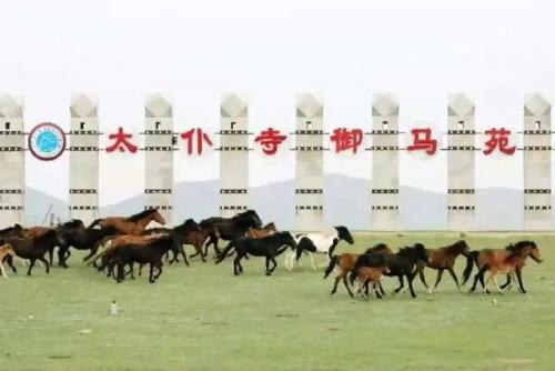 锡林郭勒旅游(锡林郭勒离哪个城市近)插图16