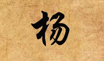 漳州陇西饭店排名前十(漳州吃饭的地方哪家好)插图30