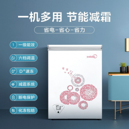 冰淇淋冰柜牌子排名前十(名牌冰柜十大名牌)插图2
