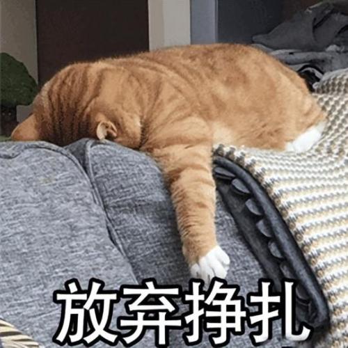 微软工作大佬排名前十(微软十大股东排名)插图