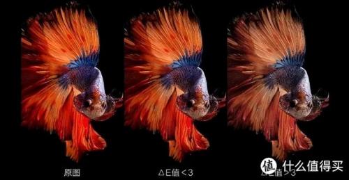 电脑显示器价格(显示器一般在什么价位)插图42