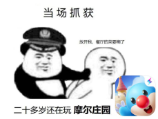 摩尔庄园警察入职(摩尔为什么入职不到法师和牧师)插图7