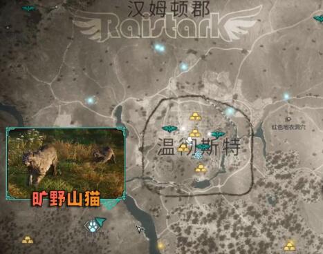 刺客信条英灵殿传奇动物位置大全(英灵殿是什么)插图8