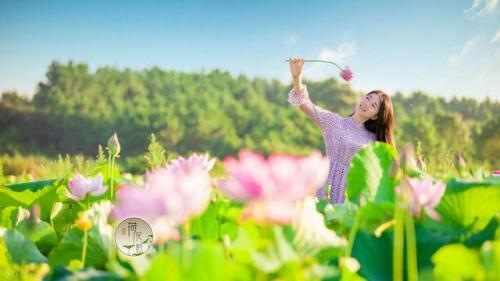 冀州门窗排名前十的(衡水冀州)插图