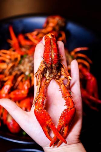 溆浦美食海鲜排名前十(溆浦美食排行榜前十名)插图4
