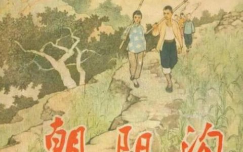 许昌历史土匪排名前十(解放后东北最大土匪)