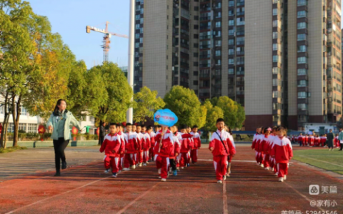 凯里小学的排名前十(凯里市小学排名前十)
