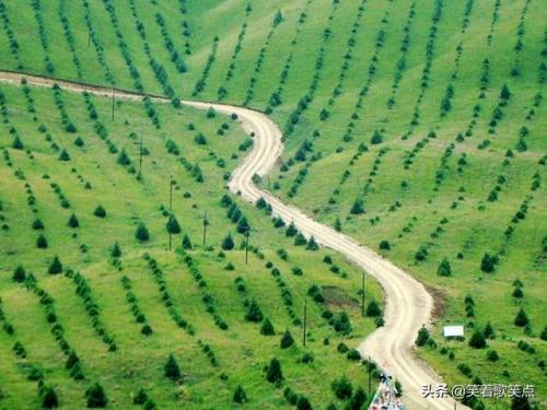 回家的路歌词(回家的路dj纯音乐)插图