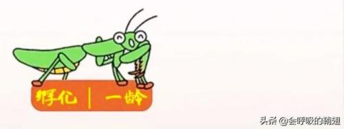 2022螳螂出装(螳螂铭文)插图2