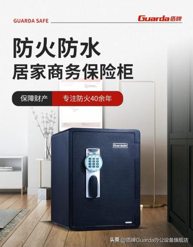 防火防盗保险柜(防火防盗保险柜duoguard系列)插图