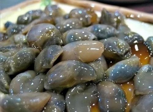 青岛海鲜品种排名前十(青岛海鲜餐厅人气排名)插图36