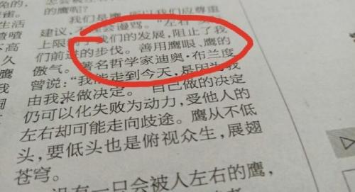 迪奥 布兰度(迪奥布兰度为啥变壮了)插图1
