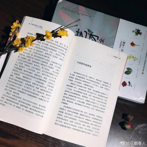 合肥私房花店排名前十(合肥咏禾花店)插图14