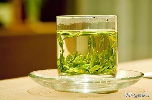 富阳茶叶品种排名前十(浙江十大名茶排名)插图9