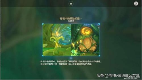 调查走廊深处的庭院(中式庭院走廊)插图14