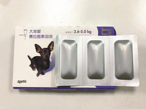 宠物驱虫药(狗狗驱虫前后要禁食吗)插图6