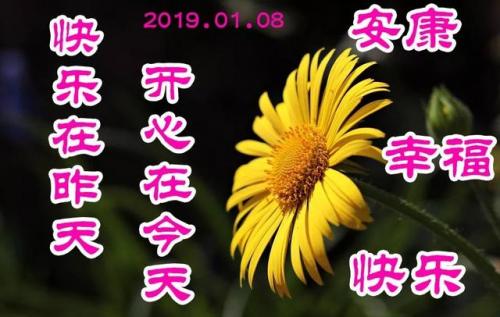 2020年图片大全好看(你好图片大全)插图3