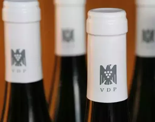 葡萄酒酒标(蓬莱葡萄酒品牌前十名)插图9