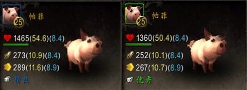 魔兽世界怎么和野外宠物对战(熊猫人之谜鸟德攻略)插图9