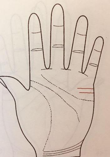 手相算命婚姻(女人最好命手纹)插图4