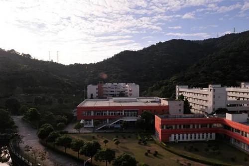 东莞中间小学排名前十(东莞长安民办小学排名)插图1