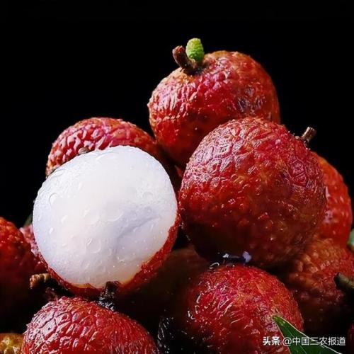白糖罂荔枝(白糖罂荔枝多少钱一斤)插图6