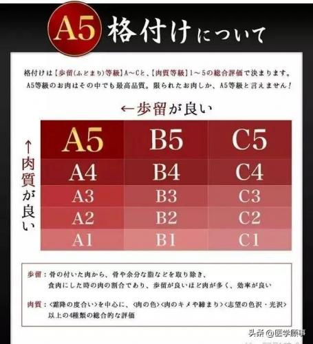 牛棚牛排品牌排名前十(调理牛排品牌排行榜)插图10