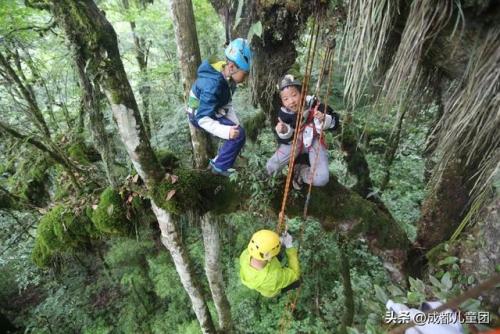 世界攀岩人数排名前十(最强攀岩者排行榜)插图7