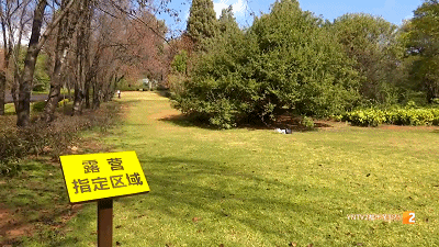 促销帐篷(活动帐篷规格与价格是多少)插图3