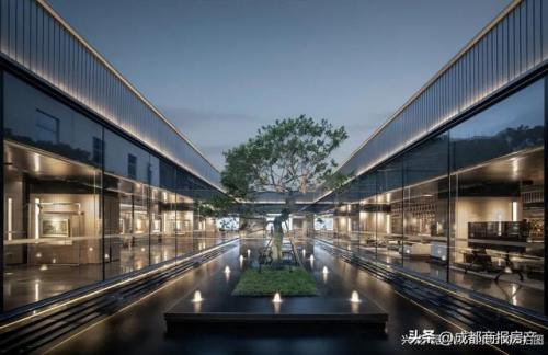 成都国贸小学排名前十(磨子桥小学在成都排名)插图1
