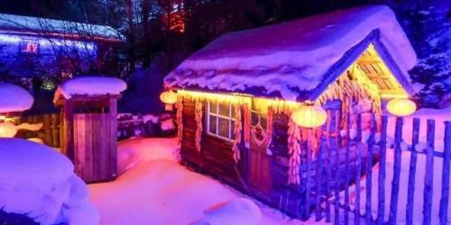 雪乡 哈尔滨(雪乡哈尔滨中央大街)插图