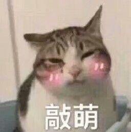 生化危机浣熊市行动配置(生化危机2配置)插图1