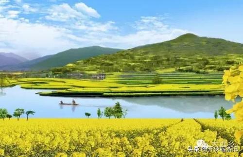 中国油菜之乡排名前十(全国油菜花开最早省市县乡)插图1