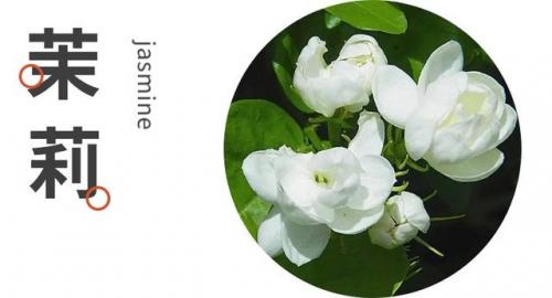 菡萏是什么(菡萏特殊含义)插图15